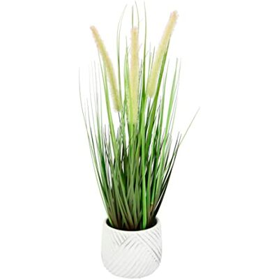 I.GE.A. Fuchsschwanzgras Pianta Artificiale - Decorazione Interna I.GE.A. Fuchsschwanzgras Pianta Artificiale - Decorazione Interna