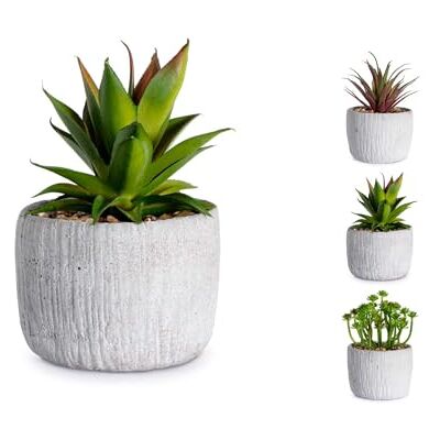 H&H Set 6 Piante Artificiali, Assortite H&H Set 6 Piante Artificiali, Assortite