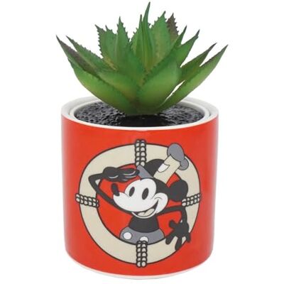 Disney Vaso per piante Topolino con pianta sintetica 11,7 cm, per interni e casa, mini fioriera con piante grasse artificiali, ornamenti di Topolino Disney Vaso per piante Topolino con pianta sintetica 11,7 cm, per interni e casa, mini fioriera con piante grasse artificiali, ornamenti di Topolino
