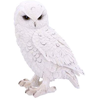 Nemesis Now Snowy Orologio Grande 20 cm, Resina, Bianco, Taglia Unica Nemesis Now Snowy Orologio Grande 20 cm, Resina, Bianco, Taglia Unica