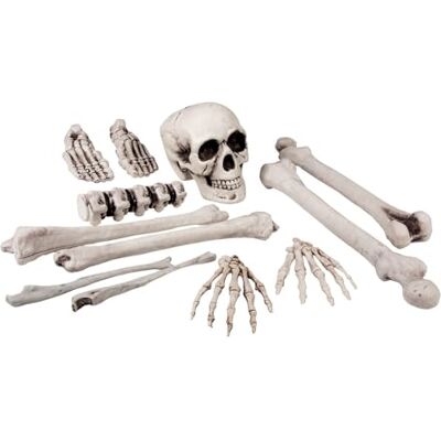 Boland Set 12 pezzi Teschio e Ossa scheletro decorazione Boland Set 12 pezzi Teschio e Ossa scheletro decorazione