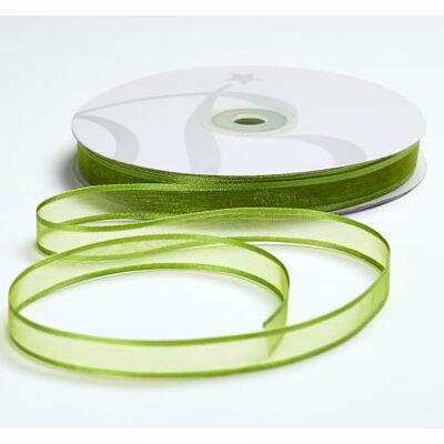 BARATTI Nastro in Organza con Bordo in Raso 12mm X 50 metri, per Artigianato, Natale, Decorazioni, Adatto Per confezionare Regali, Feste di Compleanno, Matrimoni, Bomboniere (Verde) BARATTI Nastro in Organza con Bordo in Raso 12mm X 50 metri, per Artigianato, Natale, Decorazioni, Adatto Per confezionare Regali, Feste di Compleanno, Matrimoni, Bomboniere (Verde)