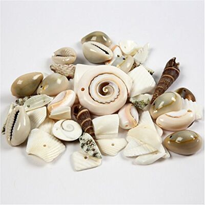 Creativ Spiaggia conchiglie, dimensioni 9-40 mm, 120g Creativ Spiaggia conchiglie, dimensioni 9-40 mm, 120g