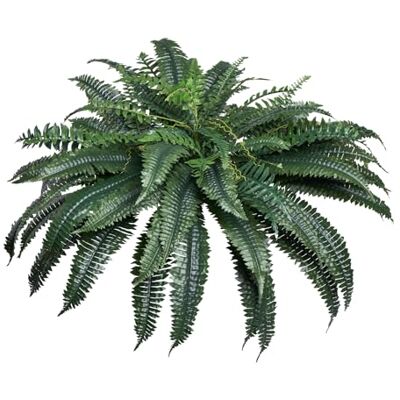 VEVOR Felci Artificiali, Diametro Naturale di ca.1100 a 1200 mm, Grandi Felci Artificiali di Boston Sospese, Decorazione da Parete con 88 Rami, Felce Finta per Casa e Ufficio, Vaso non Incluso VEVOR Felci Artificiali, Diametro Naturale di ca.1100 a 1200 mm, Grandi Felci Artificiali di Boston Sospese, Decorazione da Parete con 88 Rami, Felce Finta per Casa e Ufficio, Vaso non Incluso