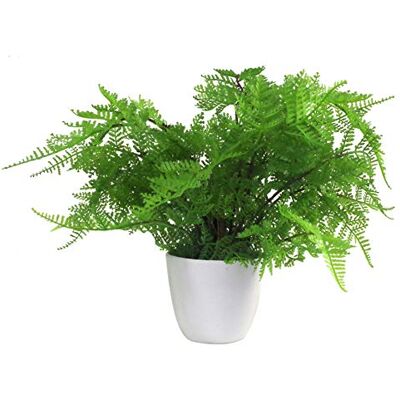 Leaf Athyrium Filix-Femina - Felce artificiale - 30cm di altezza, in vaso, verde Leaf Athyrium Filix-Femina - Felce artificiale - 30cm di altezza, in vaso, verde
