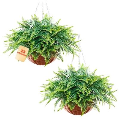 VEVOR Felci Artificiali Pendenti 2 pezzi, Pianta Finta di Felce di Boston Lunghezza Sospesa 584 mm, Felci Decorativi Cadenti in Plastica Interno Esterno da Parete, Casa Ufficio Giardino Feste Portico VEVOR Felci Artificiali Pendenti 2 pezzi, Pianta Finta di Felce di Boston Lunghezza Sospesa 584 mm, Felci Decorativi Cadenti in Plastica Interno Esterno da Parete, Casa Ufficio Giardino Feste Portico