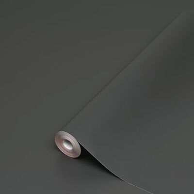 d-c-fix pellicola adesiva per mobili – Anthacite opaco 90 cm x 2,1 m pellicola decorativa lavabile e autoadesiva per cucina, armadio, tavolo & davanzale – moderna & durevole d-c-fix pellicola adesiva per mobili – Anthacite opaco 90 cm x 2,1 m pellicola decorativa lavabile e autoadesiva per cucina, armadio, tavolo & davanzale – moderna & durevole