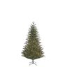 Black Box Trees Albero di Natale Frasier LED 168L Tips 890-h120xd94cm PVC/PE, Verde, 120