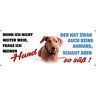 Schatzmix Blechschild Spruch Hund schaut Aber so süß Metallschild 27x10 cm Wanddeko Tin Sign Targa di Metallo da Parete, Lamiera, Multicolore, 20x30 cm