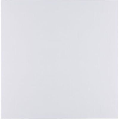Creative Cartoncino di Lino 30,5 x 30,5 cm White (Bianco) 25 pz Carta Colorati 250 g per Biglietti, Scrapbooking, Scatole da Regalo e Progetti Artistici Pesante e Resistente Creative Cartoncino di Lino 30,5 x 30,5 cm White (Bianco) 25 pz Carta Colorati 250 g per Biglietti, Scrapbooking, Scatole da Regalo e Progetti Artistici Pesante e Resistente