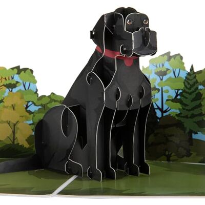 Cardology Biglietto pop-up con labrador nero, biglietto di compleanno 3D con cane, festa del papà, festa della mamma, regali per gli amanti dei cani, fatto a mano Cardology Biglietto pop-up con labrador nero, biglietto di compleanno 3D con cane, festa del papà, festa della mamma, regali per gli amanti dei cani, fatto a mano