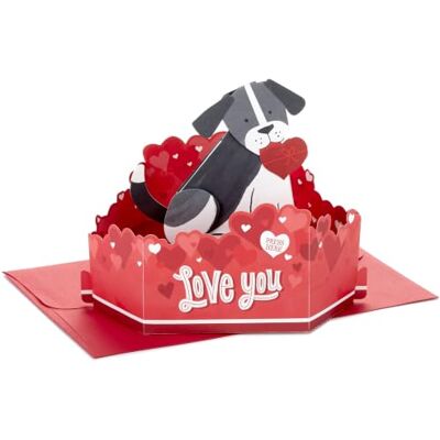 Hallmark Paper Wonder Pop Up Biglietto di anniversario con suono e movimento (cane) per compleanno, festa della mamma, festa del papà, amore, San Valentino Hallmark Paper Wonder Pop Up Biglietto di anniversario con suono e movimento (cane) per compleanno, festa della mamma, festa del papà, amore, San Valentino