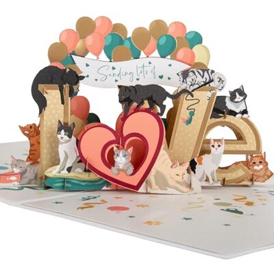 Cardology Biglietto pop-up Battersea Cats Love Biglietto 3D per amanti dei gatti, anniversario, San Valentino, festa della mamma, festa del papà Battersea Charity con licenza ufficiale Cardology Biglietto pop-up Battersea Cats Love Biglietto 3D per amanti dei gatti, anniversario, San Valentino, festa della mamma, festa del papà Battersea Charity con licenza ufficiale