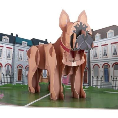 Cardology – Biglietto di compleanno con bulldog francese – biglietto pop-up 3D Cardology – Biglietto di compleanno con bulldog francese – biglietto pop-up 3D