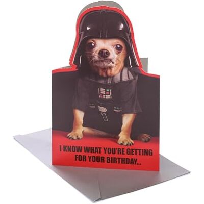 UK Greetings Biglietto di auguri di compleanno Disney Star Wars, regalo di buon compleanno, per lei/lui, divertente design con cane Vader, con busta, 155 x 235 mm UK Greetings Biglietto di auguri di compleanno Disney Star Wars, regalo di buon compleanno, per lei/lui, divertente design con cane Vader, con busta, 155 x 235 mm