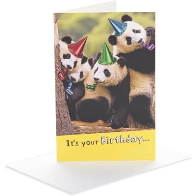 UK Greetings Biglietto di compleanno per lui/lei/amico, regalo di compleanno, per lui, uomo, donna, divertente motivo panda, con busta, 12,1 x 18,4 cm UK Greetings Biglietto di compleanno per lui/lei/amico, regalo di compleanno, per lui, uomo, donna, divertente motivo panda, con busta, 12,1 x 18,4 cm