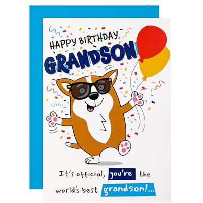 Hallmark Biglietto di compleanno per nipote, divertente, umorismo, design pop-up, illustrazione con cane, bianco, marrone, blu Hallmark Biglietto di compleanno per nipote, divertente, umorismo, design pop-up, illustrazione con cane, bianco, marrone, blu