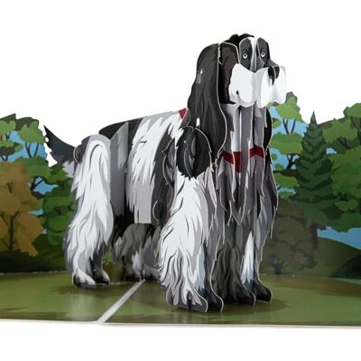 Cardology Biglietto pop-up Cocker Spaniel Biglietto di auguri di compleanno con cane in 3D, biglietti per la festa del papà, biglietti per la festa della mamma, biglietti di auguri Fatto a mano Cardology Biglietto pop-up Cocker Spaniel Biglietto di auguri di compleanno con cane in 3D, biglietti per la festa del papà, biglietti per la festa della mamma, biglietti di auguri Fatto a mano