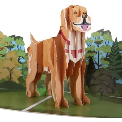 Cardology – Biglietto di compleanno con golden retriever – biglietto pop-up 3D Cardology – Biglietto di compleanno con golden retriever – biglietto pop-up 3D