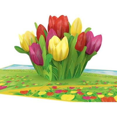 papercrush ® Biglietto pop up con Tulipani colorati – Biglietto auguri compleanno primaverile 3D per fidanzata, moglie e nonna, d'auguri per pensione, buon miglioramento e ringraziamento papercrush ® Biglietto pop up con Tulipani colorati – Biglietto auguri compleanno primaverile 3D per fidanzata, moglie e nonna, d'auguri per pensione, buon miglioramento e ringraziamento
