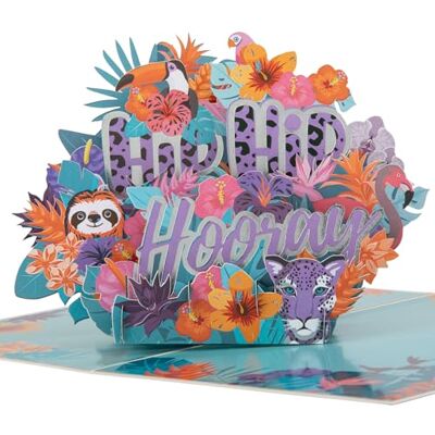 Cardology Biglietto pop up tropicale hip hip Biglietto di celebrazione tropicale 3D, interno bianco per tutte le occasioni celebrative, tra cui compleanni, congratulazioni, pensionamento, Welldone Cardology Biglietto pop up tropicale hip hip Biglietto di celebrazione tropicale 3D, interno bianco per tutte le occasioni celebrative, tra cui compleanni, congratulazioni, pensionamento, Welldone