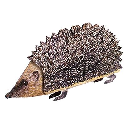 Edition Colibri Biglietto di auguri "NIEDLICHER IGEL", 3D, animato, con un simpatico riccio Edition Colibri Biglietto di auguri "NIEDLICHER IGEL", 3D, animato, con un simpatico riccio