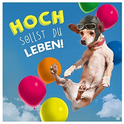 Depesche Biglietto d'auguri con musica, divertente biglietto di auguri con scritta in lingua inglese e scritta in lingua inglese Happy Birthday, con busta inclusa, 17 x 16,5 cm Depesche Biglietto d'auguri con musica, divertente biglietto di auguri con scritta in lingua inglese e scritta in lingua inglese Happy Birthday, con busta inclusa, 17 x 16,5 cm