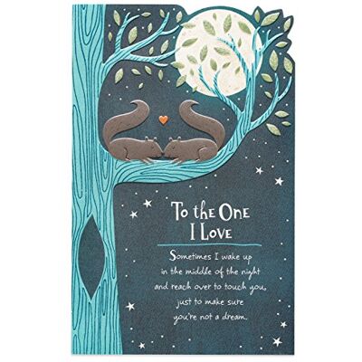 American Greetings Divertente biglietto di anniversario (One I Love) American Greetings Divertente biglietto di anniversario (One I Love)