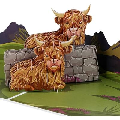 Cardology – Biglietto di compleanno con mucca delle Highlands – biglietto pop-up 3D Cardology – Biglietto di compleanno con mucca delle Highlands – biglietto pop-up 3D