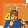 Stuff4 Biglietti di compleanno divertenti per donne e uomini – Eccellente Ed Sheeran – Biglietto di auguri di buon compleanno per amico, collega, mamma, sorella, figlia, figlio, nipote, zia, 145 mm x 145 mm,