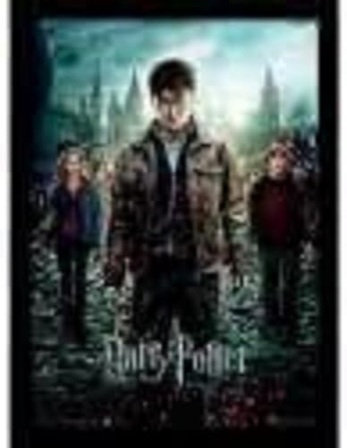 Pyramid Stampa con Cornice Harry Potter (Deathly Hallows Part 2)" Memorabilia, Multicolore, 30 x 40 x 1.3 cm
