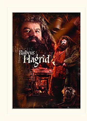 Pyramid – Harry Potter (Hagrid) – Memorabilia, Formato 30 x 40 cm, Carta, Multicolore, 30 x 40 x 1.3 cm