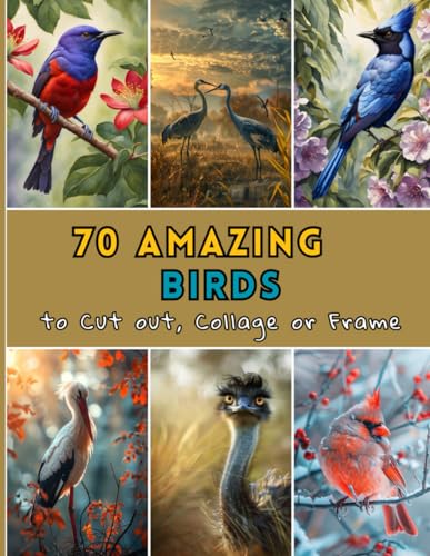 ART 70 Amazing Birds to Cut Out, Collage or Frame: Picture Book For Paper Crafts, Scrapbooking, Junk Journals