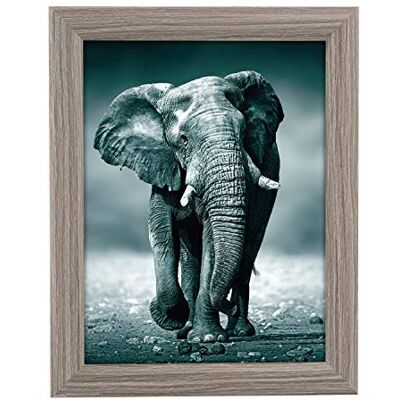 Cornice porta foto in legno Goldbuch Toscana 15x20cm - Support per ritratti, parete o scrivania Cornice porta foto in legno Goldbuch Toscana 15x20cm - Support per ritratti, parete o scrivania