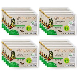 OFITURIA Carta riciclata A4 da 80 g, fogli al 100% realizzata con carta riciclata, confezione di carta riciclata, formato DIN A4, colore naturale, adatta per stampanti laser e inkjet, (5000 fogli) OFITURIA Carta riciclata A4 da 80 g, fogli al 100% realizzata con carta riciclata, confezione di carta riciclata, formato DIN A4, colore naturale, adatta per stampanti laser e inkjet, (5000 fogli)