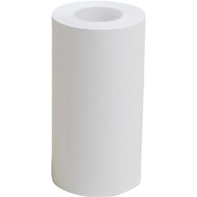 Exacompta Rif. Confezione da 20 bobine per banconote da 57 x 30 mm, 9 m, 1 piega termica 55 g/m2, senza fenolo, colore: bianco Exacompta Rif. Confezione da 20 bobine per banconote da 57 x 30 mm, 9 m, 1 piega termica 55 g/m2, senza fenolo, colore: bianco