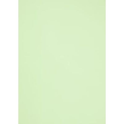 GUARRO Foglio 50 x 65 (25) Cart Iris 120 g Verde mela GUARRO Foglio 50 x 65 (25) Cart Iris 120 g Verde mela