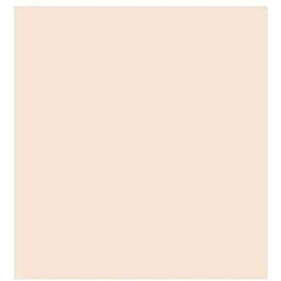 GUARRO Foglio 50 x 65 (25) Cart Iris 240 g Guscio Uovo GUARRO Foglio 50 x 65 (25) Cart Iris 240 g Guscio Uovo