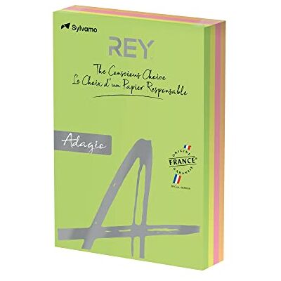 DOHE Papiro Adagio carta colorata A4 125 feuilx4 assortiti Fluorescente A4 per stampanti laser/Inkjet e fotocopiatrici DOHE Papiro Adagio carta colorata A4 125 feuilx4 assortiti Fluorescente A4 per stampanti laser/Inkjet e fotocopiatrici