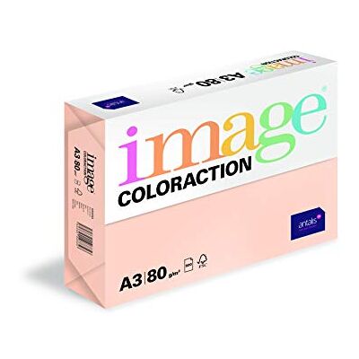 IMAGE Immagine coloraction carta colorata savana/salm IMAGE Immagine coloraction carta colorata savana/salm