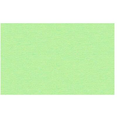 URSUS Carta Fotografica Formato DIN A4, 300 g/mq, 50 Fogli, Colore: Menta URSUS Carta Fotografica Formato DIN A4, 300 g/mq, 50 Fogli, Colore: Menta