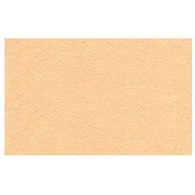 URSUS Cartoncino Fotografico Formato DIN A4, 300 g/mq, 50 Fogli, Colore: Albicocca URSUS Cartoncino Fotografico Formato DIN A4, 300 g/mq, 50 Fogli, Colore: Albicocca