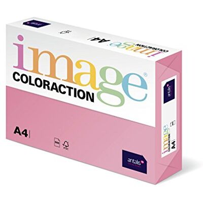 Antalis 838 A 120S 14 - Carta da fotocopie - Corallo - DIN A4 Antalis 838 A 120S 14 - Carta da fotocopie - Corallo - DIN A4