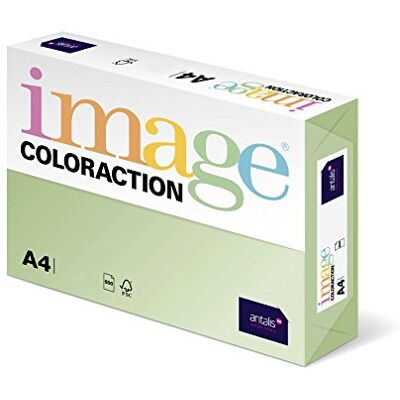 Antalis Coloraction-Risma di carta, motivo: animali della giungla, confezione da 250 fogli, per stampanti Laser e getto d'inchiostro e fotocopiatrici, 80 g/mq, formato A4 Antalis Coloraction-Risma di carta, motivo: animali della giungla, confezione da 250 fogli, per stampanti Laser e getto d'inchiostro e fotocopiatrici, 80 g/mq, formato A4