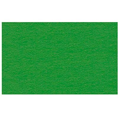 URSUS Cartoncino Fotografico Formato DIN A4, 300 g/mq, 50 Fogli, Colore: Verde Chiaro URSUS Cartoncino Fotografico Formato DIN A4, 300 g/mq, 50 Fogli, Colore: Verde Chiaro