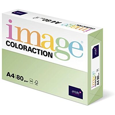 IMAGE Coloraction 838A 080S 21 Antalis DIN A4, 80 gr/mq- Carta per fotocopie, colore: Verde chiaro IMAGE Coloraction 838A 080S 21 Antalis DIN A4, 80 gr/mq- Carta per fotocopie, colore: Verde chiaro