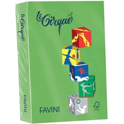 Favini Le Cirque Carta A4 160 gr/mq 250 fogli Verde Prato Forte Favini Le Cirque Carta A4 160 gr/mq 250 fogli Verde Prato Forte