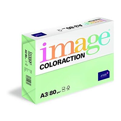 Coloraction - A3 80g - Verde Foresta Pastello - Carta da stampante Coloraction - A3 80g - Verde Foresta Pastello - Carta da stampante