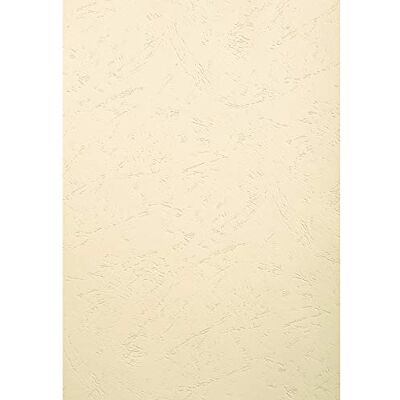 Exacompta evercover 2785 C Pack di 100 F per A3 270 g/m² Avorio Exacompta evercover 2785 C Pack di 100 F per A3 270 g/m² Avorio