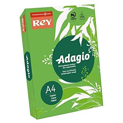 REY Adagio Cartoncini formato A4, da 160 g/m2, confezione da 250, colori assortiti e luminosi Green REY Adagio Cartoncini formato A4, da 160 g/m2, confezione da 250, colori assortiti e luminosi Green